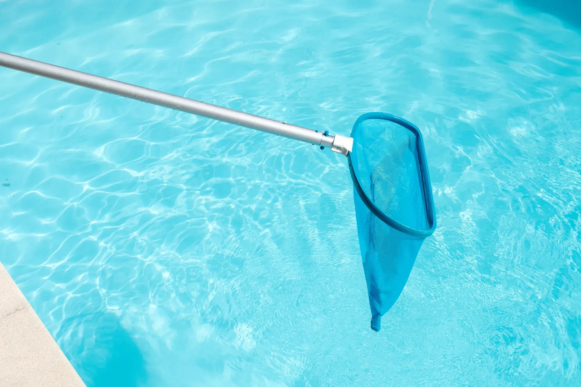 Skimmer net clearing the surface of a clear blue pool